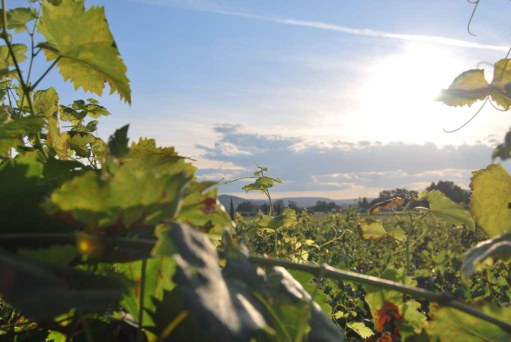 Clos St Eloi, The Originals Relais Thiers Bagian luar foto